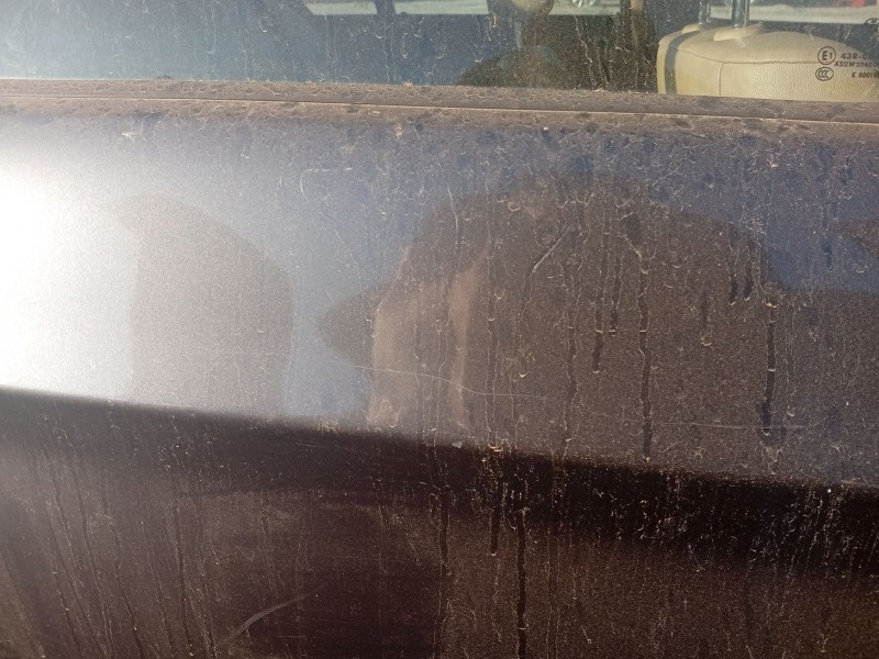 Recambio de puerta trasera derecha para bmw 3 (e90) 320 d referencia OEM IAM 41007203648  