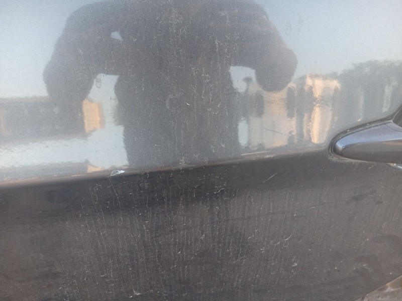 Recambio de puerta trasera izquierda para bmw 3 (e90) 320 d referencia OEM IAM 41007203647  