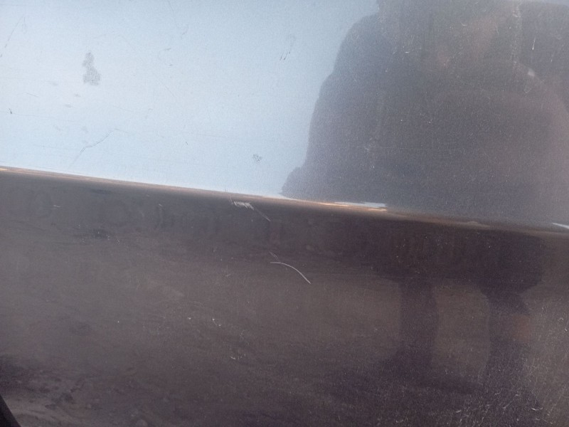 Recambio de puerta trasera izquierda para bmw 3 (e90) 320 d referencia OEM IAM 41007203647  