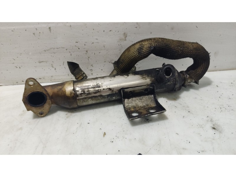 Recambio de enfriador egr para ford focus turnier (cak) ghia referencia OEM IAM 1197888  