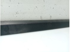 Recambio de moldura puerta trasera izquierda para renault clio iii (br0/1, cr0/1) 1.5 dci (br0h, cr0h, cr1s, br1s) referencia OE 2