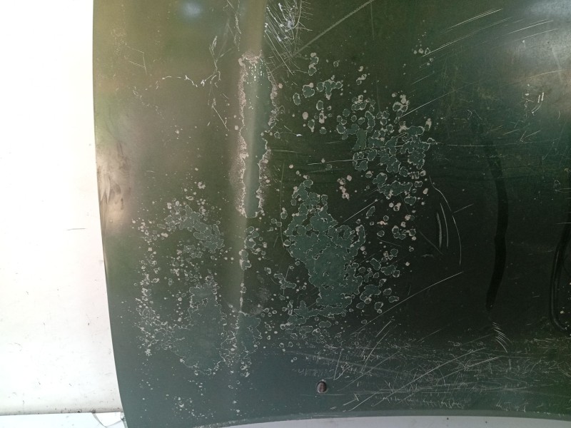 Recambio de capot para nissan maxima qx (a32) 2.0 v6 24v cat referencia OEM IAM F510043UCM  