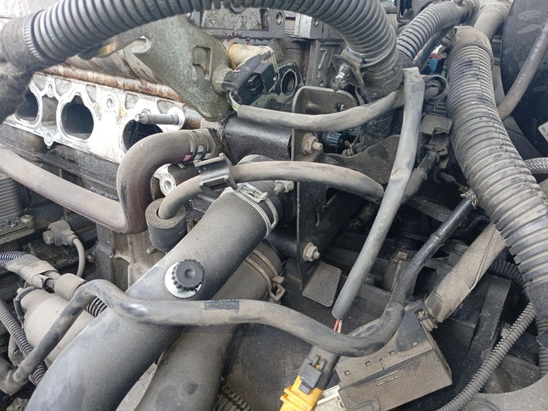 Recambio de termostato para peugeot 407 (6d_) 1.8 16v (6d6fyc) referencia OEM IAM 1338AV  