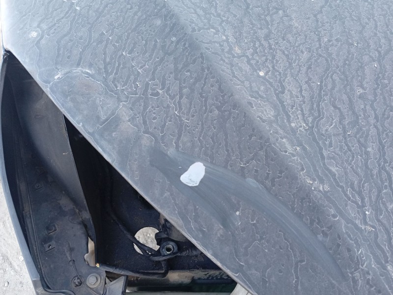 Recambio de capot para peugeot 407 (6d_) 1.8 16v (6d6fyc) referencia OEM IAM 7901K7  