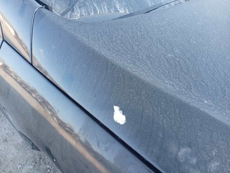 Recambio de capot para peugeot 407 (6d_) 1.8 16v (6d6fyc) referencia OEM IAM 7901K7  