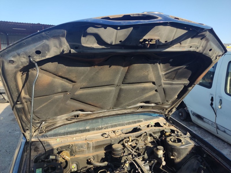 Recambio de capot delantero para nissan primera hatchback (p11) 2.0 td referencia OEM IAM 651002J035  