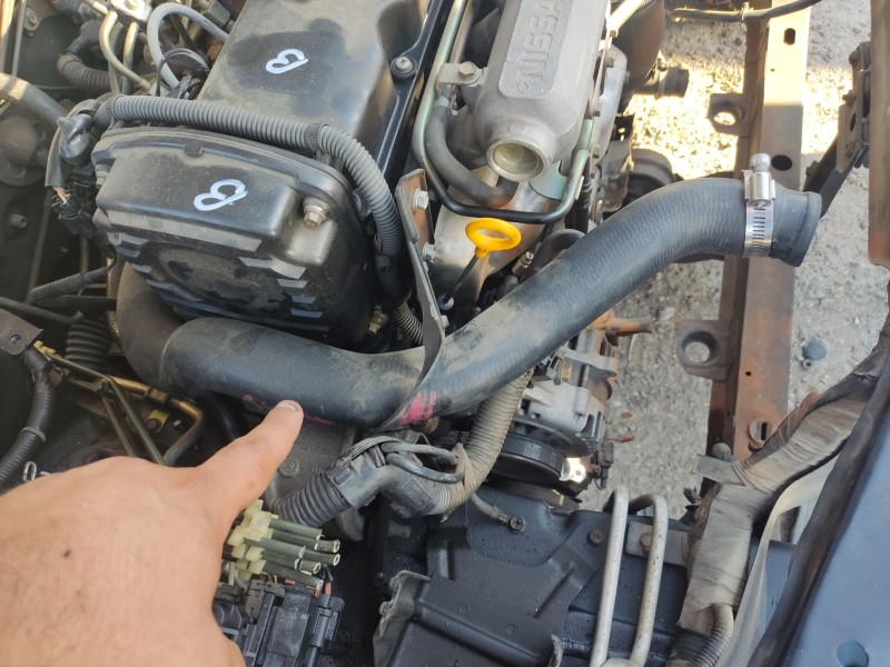 Recambio de tubo para nissan primera hatchback (p11) 2.0 td referencia OEM IAM   