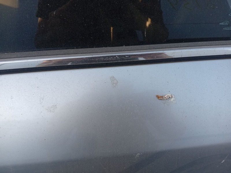 Recambio de puerta trasera izquierda para hyundai sonata v (nf) 2.0 crdi referencia OEM IAM 770033K010  