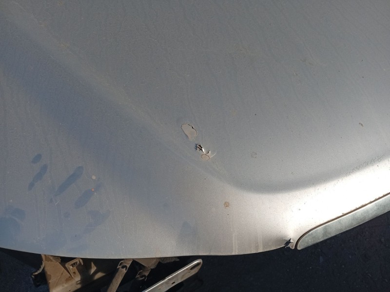 Recambio de capot delantero para hyundai sonata v (nf) 2.0 crdi referencia OEM IAM 664003K010  