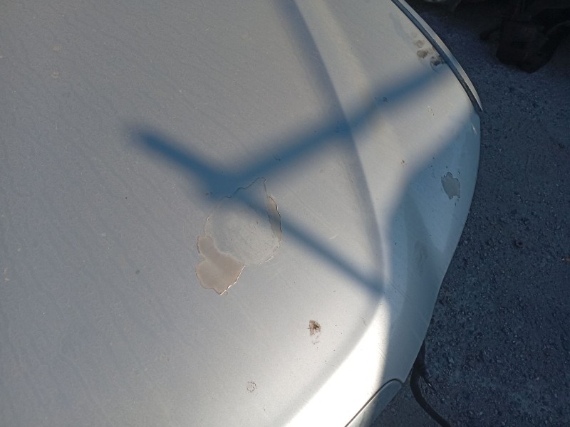 Recambio de capot delantero para hyundai sonata v (nf) 2.0 crdi referencia OEM IAM 664003K010  