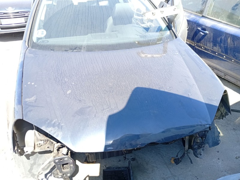 Recambio de capot delantero para volkswagen golf v (1k1) 1.9 tdi referencia OEM IAM 1K0823031J  