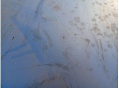 Recambio de capot delantero para peugeot 206 hatchback (2a/c) 2.0 hdi 90 referencia OEM IAM 7901K1   2