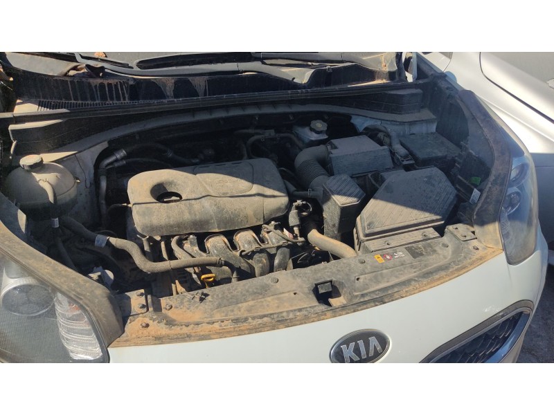 kia sportage iv (ql, qle) del año 2019