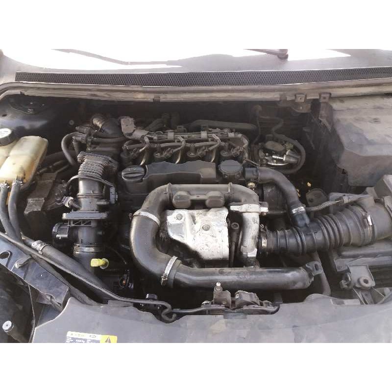 ford focus berlina (cap) 1.6 tdci cat   |   0.04 - ... | 2004 | 90 cv / 66 kw del año 2004