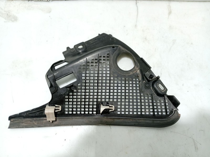 Recambio de moldura para renault grand scénic iii (jz0/1_) 1.9 dci referencia OEM IAM 668630009R  