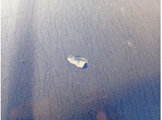 Recambio de capot delantero para seat ibiza ii (6k1) 1.9 tdi referencia OEM IAM 6K0823031B   2