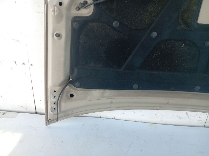 Recambio de capot para kia carens (un) referencia OEM IAM 664001D010  