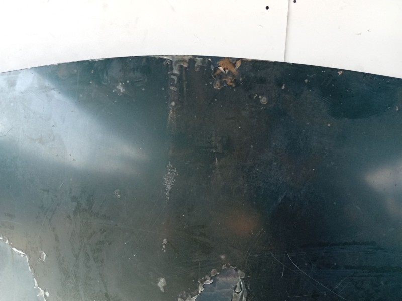 Recambio de capot para citroën xm berlina 2.1 turbodiesel referencia OEM IAM 7901H6  