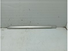 Recambio de moldura puerta trasera derecha para renault laguna iii referencia OEM IAM 828730001R  