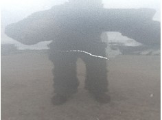 Recambio de puerta delantera derecha para peugeot 207 sw (wk_) 1.6 hdi referencia OEM IAM 9004X8   2