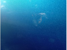 Recambio de puerta trasera derecha para peugeot 207/207+ (wa_, wc_) 1.6 hdi referencia OEM IAM 9008S6   2