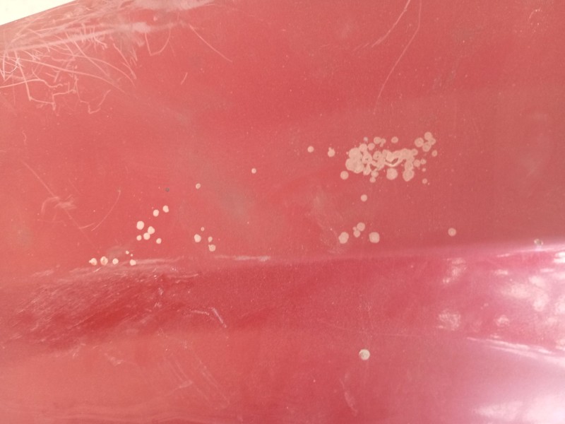 Recambio de aleta delantera izquierda para chevrolet aveo / kalos sedán (t250, t255) 1.4 referencia OEM IAM 95198265  