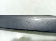 Recambio de moldura para renault clio iii referencia OEM IAM    2