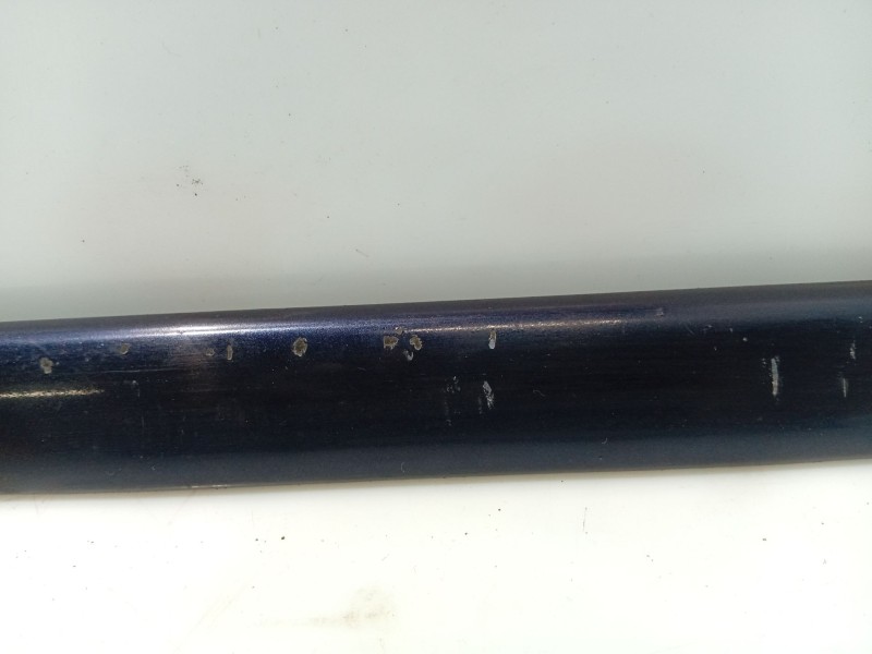 Recambio de moldura para bmw serie 5 berlina (e39) 520i exclusive referencia OEM IAM 700426  