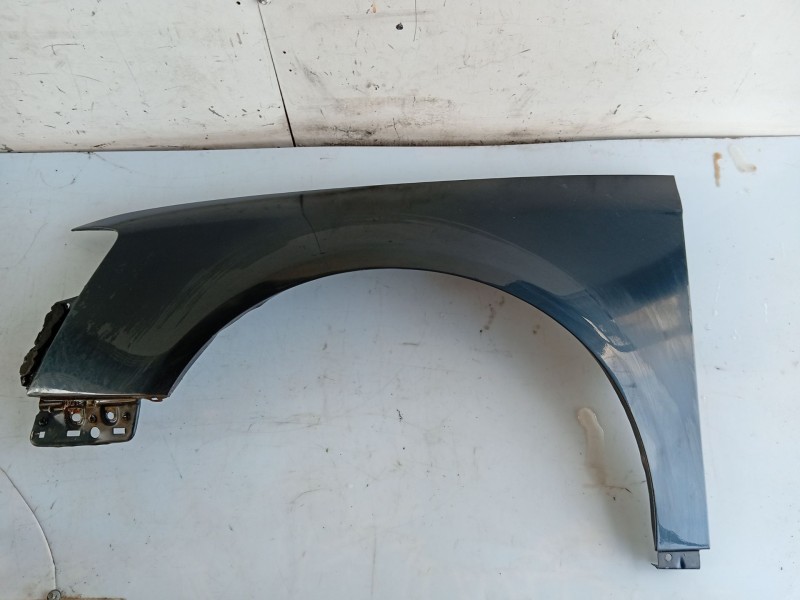 Recambio de aleta delantera izquierda para volkswagen passat b6 (3c2) 1.9 tdi referencia OEM IAM 22A00808000289  