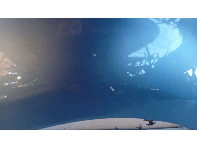 Recambio de aleta delantera izquierda para chevrolet aveo / kalos sedán (t200) 1.4 referencia OEM IAM 95483687  