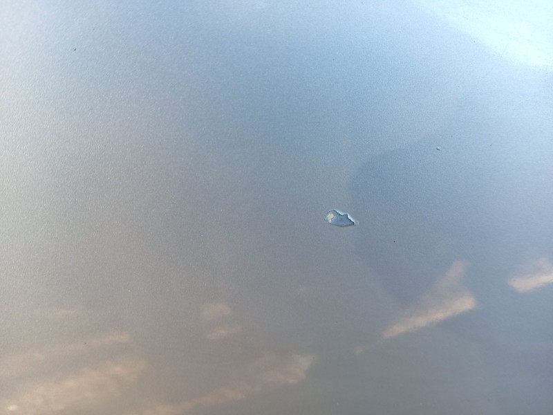 Recambio de puerta trasera derecha para bmw x5 (e53) 3.0 d referencia OEM IAM 41528256828  