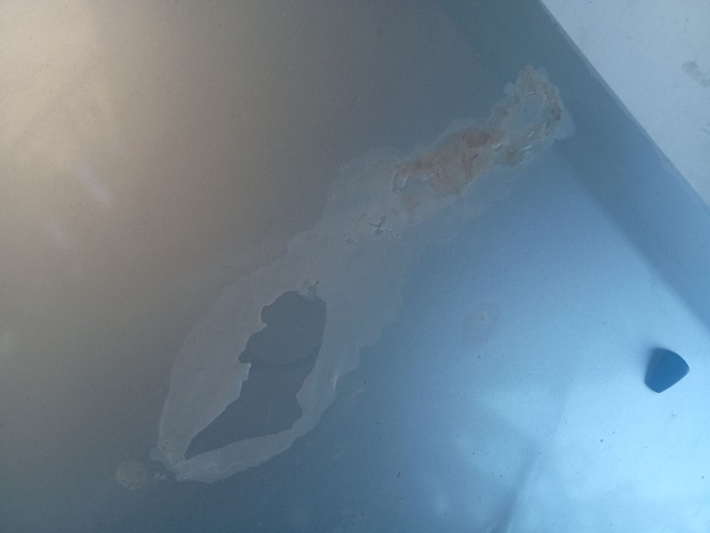 Recambio de capot para toyota corolla verso (zer_, zze12_, r1_) 2.0 d-4d (cur10_) referencia OEM IAM 533010F010  