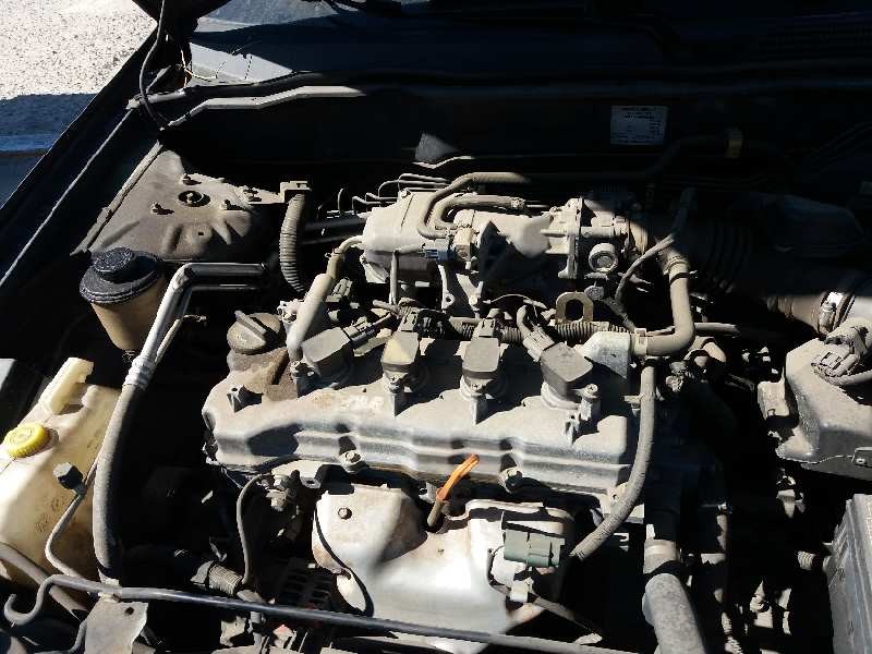 nissan almera (n16/e) 1.5 16v cat   |   0.00 - ... | 2000 | 98 cv / 72 kw del año 2000
