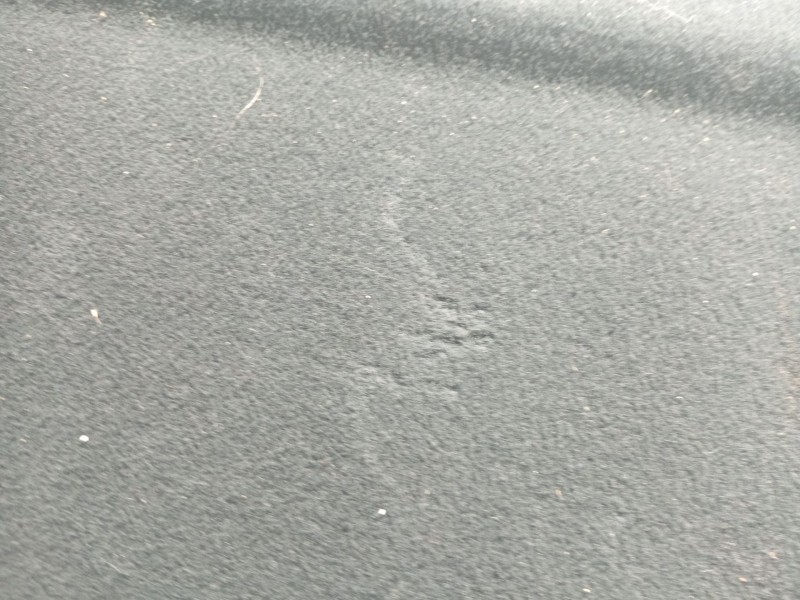 Recambio de bandeja trasera para skoda fabia i (6y2) 1.2 referencia OEM IAM 6Y0867769G1AP  