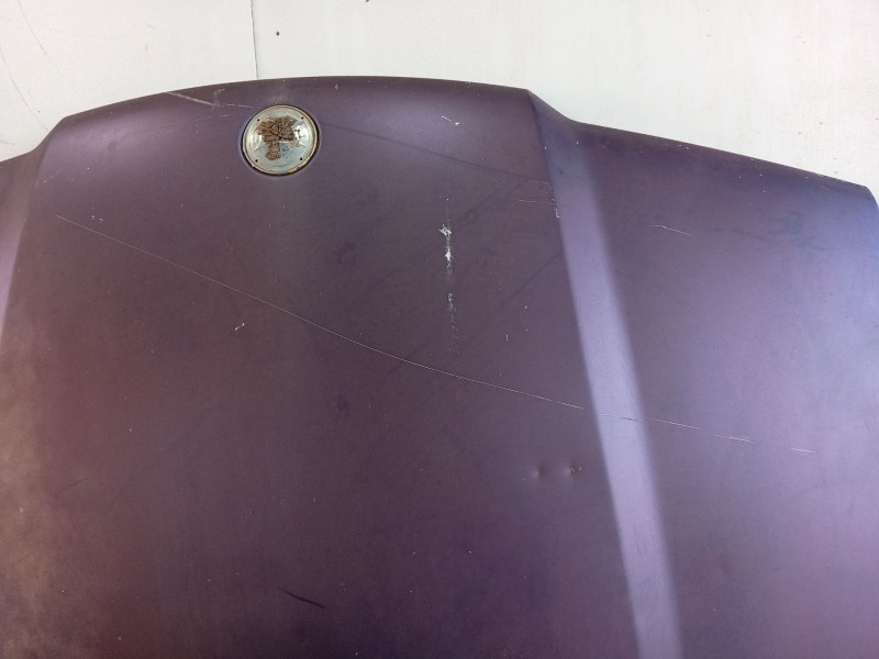 Recambio de capot para bmw 3 coupé (e36) m3 3.2 referencia OEM IAM   