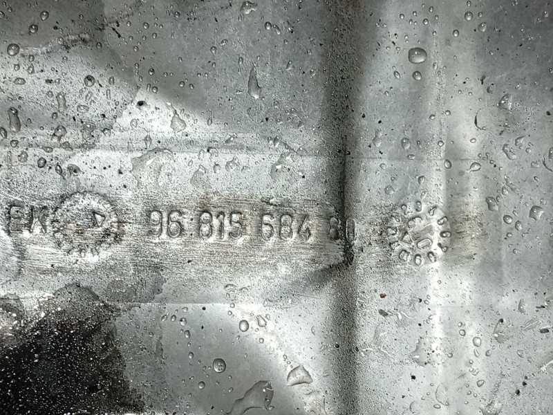 Recambio de moldura para citroën xsara picasso (n68) 1.6 hdi referencia OEM IAM   