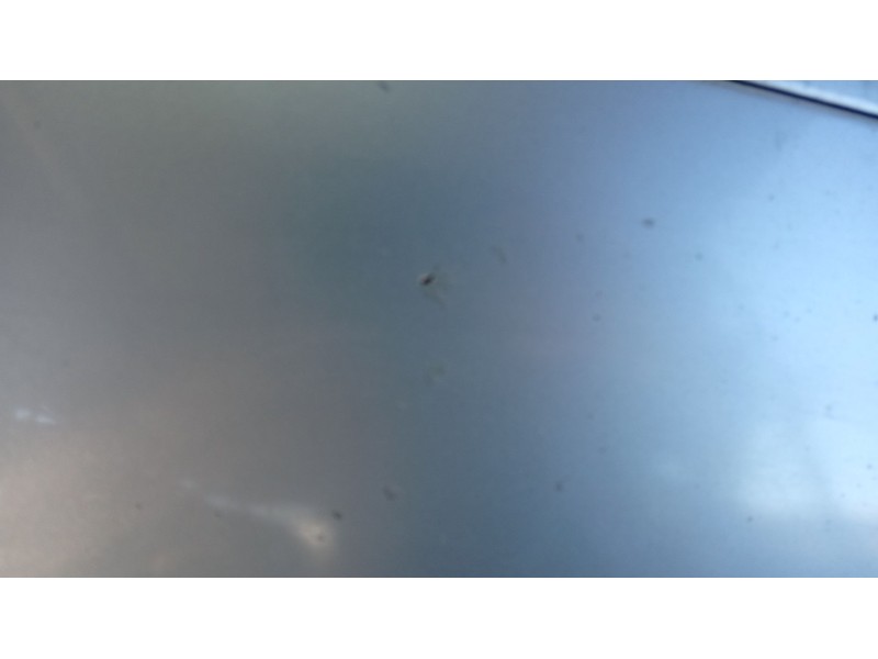 Recambio de capot para citroën xsara picasso (n68) 1.6 hdi referencia OEM IAM   