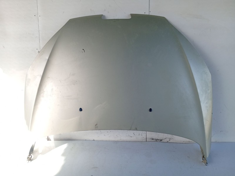 Recambio de capot para peugeot 407 sw (6e_, 6d_) 2.0 hdi 135 referencia OEM IAM 7901K7  