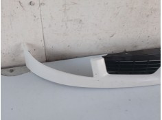 Recambio de moldura para renault kangoo express (fc0/1_) d 65 1.9 (fc0e, fc02, fc0j, fc0n) referencia OEM IAM    2