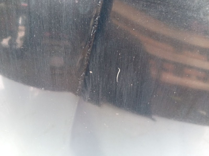 Recambio de capot para citroën c5 iii break (rw_) 2.0 hdi 140 referencia OEM IAM   