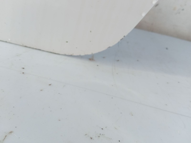 Recambio de puerta trasera izquierda para chevrolet aveo hatchback (t300) 1.3 d referencia OEM IAM 42357429  