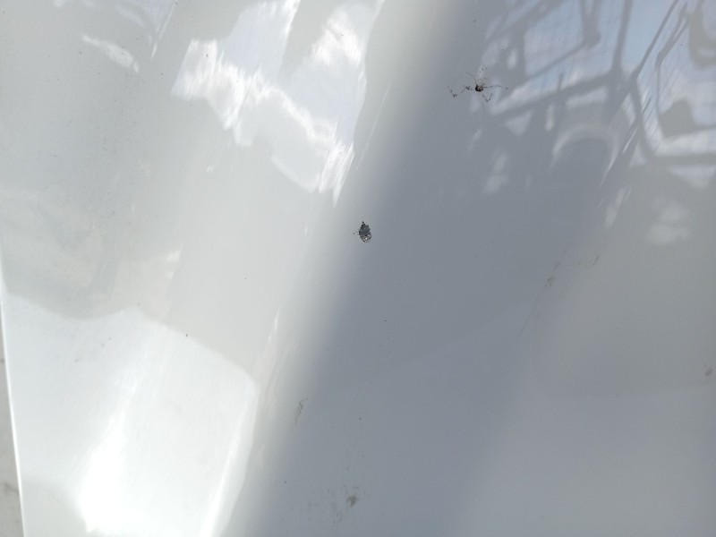 Recambio de capot para chevrolet aveo hatchback (t300) 1.3 d referencia OEM IAM   