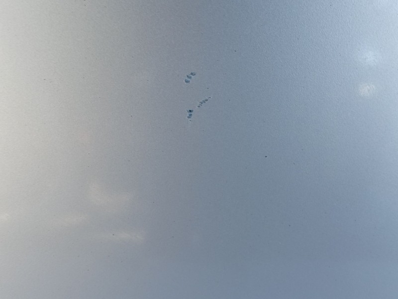 Recambio de capot para opel astra h (a04) 1.7 cdti (l48) referencia OEM IAM   