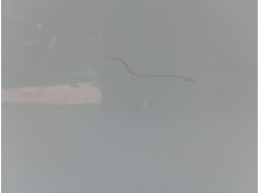 Recambio de puerta trasera derecha para renault megane iii hatchback (bz0/1_, b3_) 1.5 dci (bz1g, bz1w, bz0r) referencia OEM IAM 2