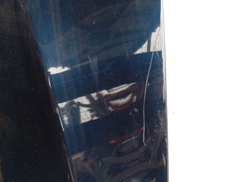 Recambio de capot para bmw 5 (e60) 525 d referencia OEM IAM   