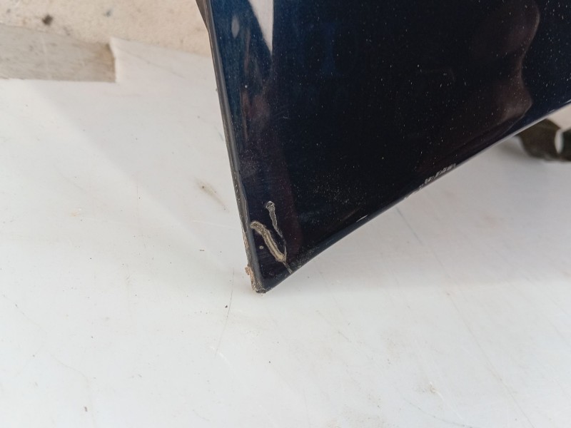 Recambio de capot para bmw 5 (e60) 525 d referencia OEM IAM   