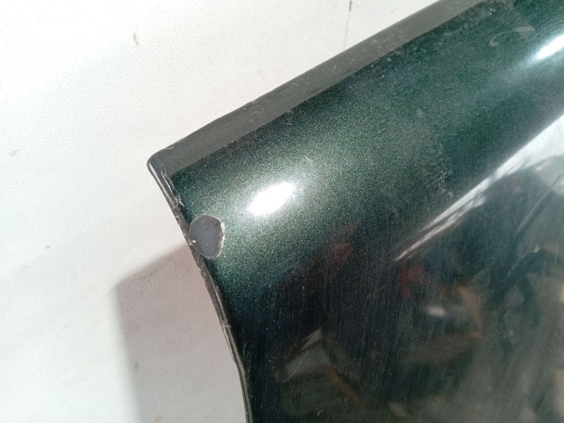 Recambio de capot para land rover discovery ii (l318) 2.5 td5 4x4 referencia OEM IAM BKA700040  