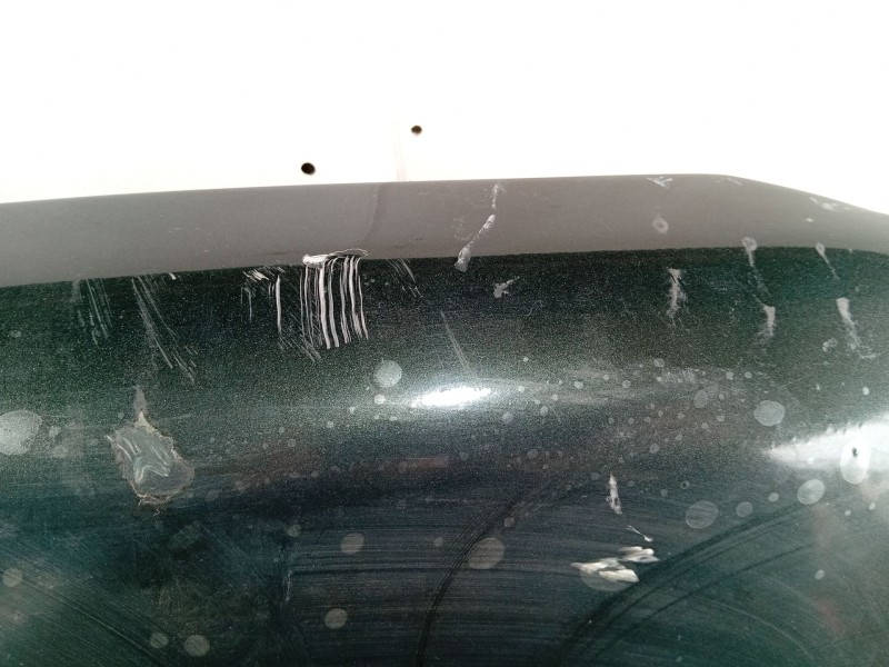 Recambio de capot para land rover discovery ii (l318) 2.5 td5 4x4 referencia OEM IAM BKA700040  