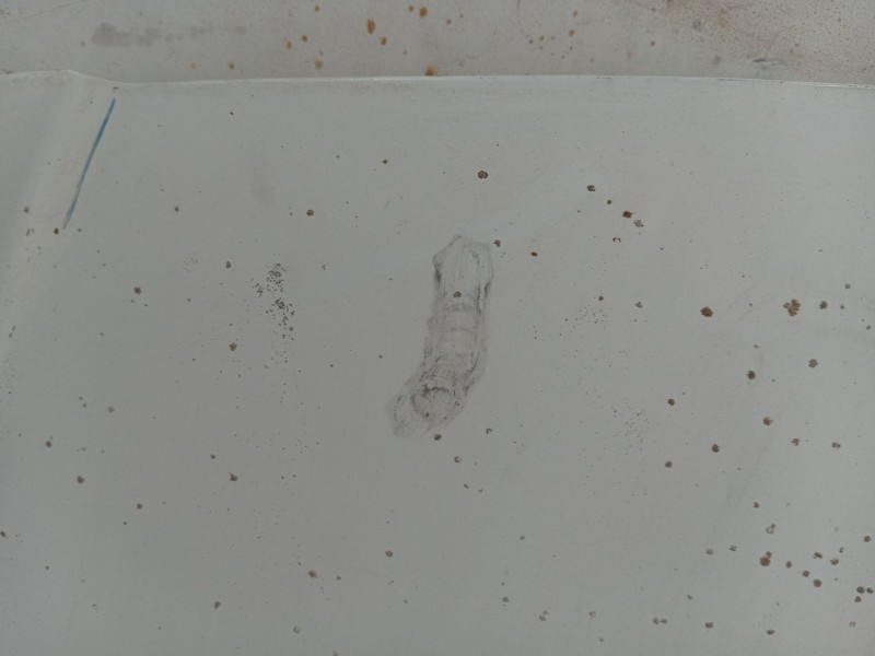 Recambio de capot para citroën jumpy referencia OEM IAM   