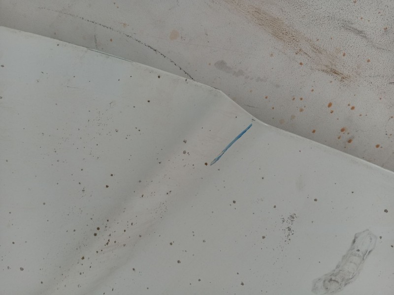 Recambio de capot para citroën jumpy referencia OEM IAM   